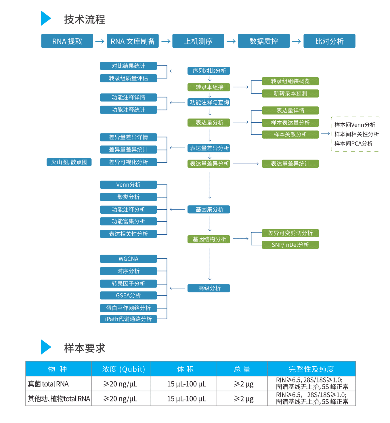 真核2.gif