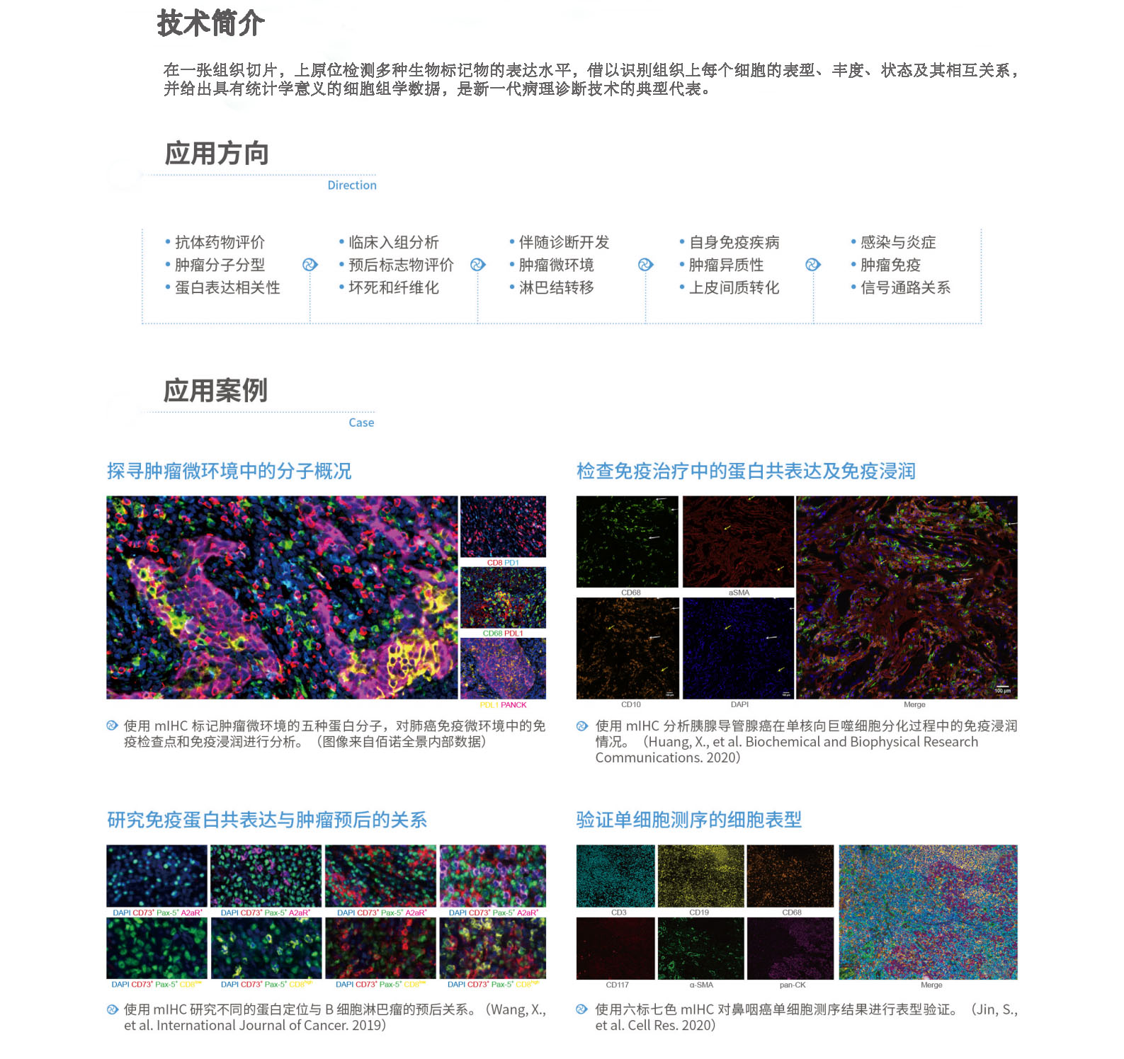 佰諾1.jpg