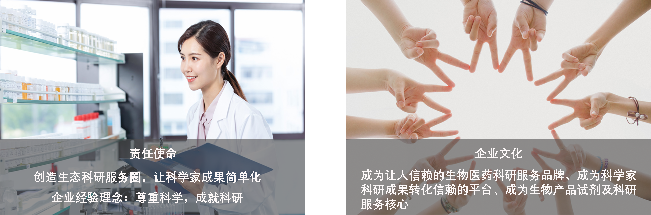 2022.12.7恢復(fù)的.png